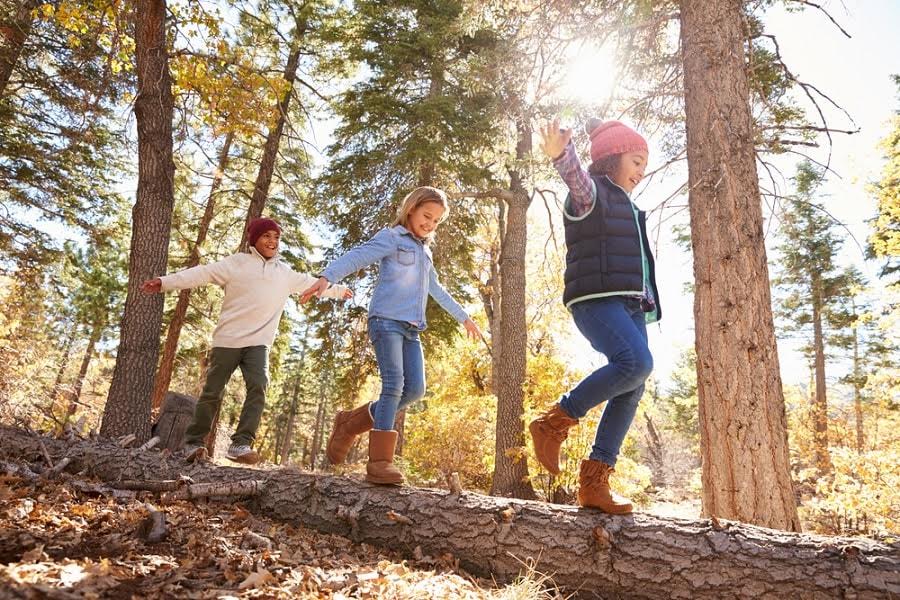 Geschikte uitjes in de natuur tijdens Corona