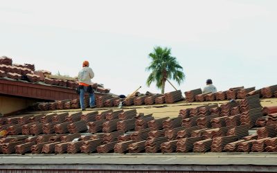Dakdekkersbedrijven in Brabant: professionele service voor jouw dak